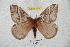  ( - BC-RBP 5918)  @14 [ ] Copyright (2010) Ron Brechlin Research Collection of Ron Brechlin