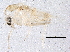  ( - BIOUG06489-F02)  @13 [ ] CreativeCommons - Attribution (2014) CBG Photography Group Centre for Biodiversity Genomics