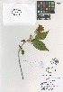  ( - QC227-5)  @11 [ ] CreativeCommons  Attribution Non-Commercial Share-Alike (2022) Unspecified Beaty Biodiversity Museum