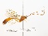  ( - NJBC 284)  @11 [ ] CreativeCommons  Attribution Non-Commercial Share-Alike (2017) Niklas Johansson Swedish University of Agricultural Sciences