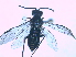  ( - bf-sym-00015)  @12 [ ] CreativeCommons - Attribution Non-Commercial Share-Alike (2012) Ole Lonnve BioFokus