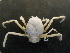  ( - UNMDP-TAL II-III_047)  @11 [ ] CreativeCommons - Attribution Non-Commercial Share-Alike (2014) Unspecified Laboratorio de Zoología de Invertebrados