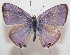  ( - TNAULY201400109)  @14 [ ] CreativeCommons - Attribution Non-Commercial Share-Alike (2014) Kiruthika, P Dept. of Entomology, TNAU