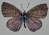  ( - TNAULY201400132)  @14 [ ] CreativeCommons - Attribution Non-Commercial Share-Alike (2014) Kiruthika, P Dept. of Entomology, TNAU