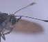  ( - TNAULY201400132)  @12 [ ] CreativeCommons - Attribution Non-Commercial Share-Alike (2014) Kiruthika, P Dept. of Entomology, TNAU