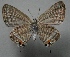  ( - TNAULY201400109)  @13 [ ] CreativeCommons - Attribution Non-Commercial Share-Alike (2014) Kiruthika, P Dept. of Entomology, TNAU