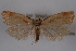  ( - 09-JBTOR-0758)  @12 [ ] CreativeCommons - Attribution (2010) Unspecified Centre for Biodiversity Genomics