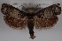  ( - 09-JBTOR-0474)  @11 [ ] CreativeCommons - Attribution (2010) Unspecified Centre for Biodiversity Genomics