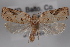  ( - 09-JBTOR-0392)  @14 [ ] CreativeCommons - Attribution (2010) Unspecified Centre for Biodiversity Genomics