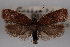  ( - 09-JBTOR-0393)  @13 [ ] CreativeCommons - Attribution (2010) Unspecified Centre for Biodiversity Genomics