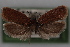  ( - 09-JBTOR-0394)  @12 [ ] CreativeCommons - Attribution (2010) Unspecified Centre for Biodiversity Genomics