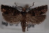  ( - 09-JBTOR-0500)  @13 [ ] CreativeCommons - Attribution (2010) Unspecified Centre for Biodiversity Genomics