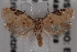  ( - 09-JBTOR-0790)  @13 [ ] CreativeCommons - Attribution (2010) Unspecified Centre for Biodiversity Genomics