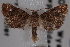  ( - 09-JBTOR-0795)  @13 [ ] CreativeCommons - Attribution (2010) Unspecified Centre for Biodiversity Genomics