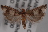  ( - 09-JBTOR-0616)  @13 [ ] CreativeCommons - Attribution (2010) Unspecified Centre for Biodiversity Genomics