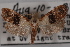  ( - 09-JBTOR-0433)  @11 [ ] CreativeCommons - Attribution (2010) Unspecified Centre for Biodiversity Genomics
