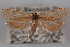  ( - 09-JBTOR-0439)  @13 [ ] CreativeCommons - Attribution (2010) Unspecified Centre for Biodiversity Genomics