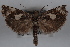  ( - 09-JBTOR-0539)  @12 [ ] CreativeCommons - Attribution (2010) Unspecified Centre for Biodiversity Genomics