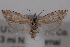  ( - 09-JBTOR-0647)  @14 [ ] CreativeCommons - Attribution (2010) Unspecified Centre for Biodiversity Genomics