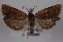  ( - 09-JBTOR-0841)  @13 [ ] CreativeCommons - Attribution (2010) Unspecified Centre for Biodiversity Genomics