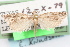 (Pelochrista salaciana - 09-JBTOR-1228)  @14 [ ] CreativeCommons - Attribution (2010) Unspecified Centre for Biodiversity Genomics