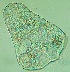  (Microphallus simillimus - CCDB-06263-G09)  @11 [ ] Unspecified (default): All Rights Reserved  Unspecified Unspecified
