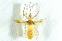  (Zelus - BIOUG01150-E11)  @15 [ ] CreativeCommons - Attribution (2011) CBG Photography Group Centre for Biodiversity Genomics