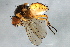  ( - PROBE-TW0093)  @13 [ ] CreativeCommons - Attribution (2009) Unspecified Centre for Biodiversity Genomics