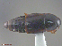  ( - UAM:Ento:258726)  @12 [ ] CreativeCommons  Attribution Non-Commercial No Derivatives (2016) Derek Sikes University of Alaska Museum