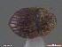  ( - UAM:Ento:302103)  @11 [ ] CreativeCommons  Attribution Non-Commercial No Derivatives (2018) Derek Sikes University of Alaska Museum