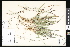  ( - CCDB-23956-D11)  @11 [ ] CreativeCommons - Attribution (2015) Department of Agriculture Agriculture and Agri-Food Canada National Collection of Vascular Plants (DAO