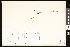  ( - CCDB-23956-E06)  @11 [ ] CreativeCommons - Attribution (2015) Department of Agriculture Agriculture and Agri-Food Canada National Collection of Vascular Plants (DAO