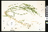  ( - CCDB-23956-F09)  @11 [ ] CreativeCommons - Attribution (2015) Department of Agriculture Agriculture and Agri-Food Canada National Collection of Vascular Plants (DAO