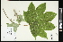  ( - CCDB-24798-A10)  @11 [ ] CreativeCommons - Attribution (2015) Agriculture and Agri-Food Canada Agriculture and Agri-Food Canada