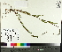  ( - TJD-345)  @11 [ ] CreativeCommons - Attribution Non-Commercial (2014) MTMG McGill University Herbarium