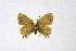  ( - DNAwthSatyrium178)  @11 [ ] copyright (2023) Wolfgang tenHagen Unspecified