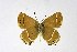  ( - DNAwthSatyrium182)  @11 [ ] copyright (2023) Wolfgang tenHagen Unspecified