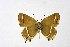  ( - DNAwthSatyrium188)  @11 [ ] copyright (2023) Wolfgang tenHagen Unspecified