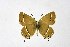  ( - DNAwthSatyrium193)  @11 [ ] copyright (2023) Wolfgang tenHagen Unspecified