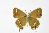  ( - DNAwthSatyrium195)  @11 [ ] copyright (2023) Wolfgang tenHagen Unspecified