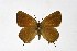  ( - DNAwthSatyrium198)  @11 [ ] copyright (2023) Wolfgang tenHagen Unspecified