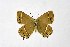  ( - DNAwthSatyrium200)  @11 [ ] copyright (2023) Wolfgang tenHagen Unspecified