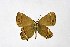  ( - DNAwthSatyrium203)  @11 [ ] copyright (2023) Wolfgang tenHagen Unspecified