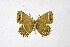  ( - DNAwthSatyrium205)  @11 [ ] copyright (2023) Wolfgang tenHagen Unspecified