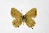  ( - DNAwthSatyrium232)  @11 [ ] copyright (2023) Wolfgang tenHagen Unspecified