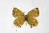  ( - DNAwthSatyrium233)  @11 [ ] copyright (2023) Wolfgang tenHagen Unspecified