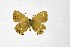  ( - DNAwthSatyrium234)  @11 [ ] copyright (2023) Wolfgang tenHagen Unspecified