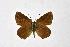  ( - DNAwthSatyrium250)  @11 [ ] Copyright (2023) Unspecified Unspecified