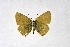  ( - DNAwthSatyrium261)  @11 [ ] Copyright (2023) Unspecified Unspecified