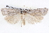  ( - BIOUG12057-H02)  @13 [ ] CreativeCommons - Attribution (2014) CBG Photography Group Centre for Biodiversity Genomics